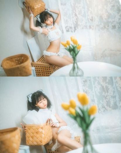 野花高清视频在线观看