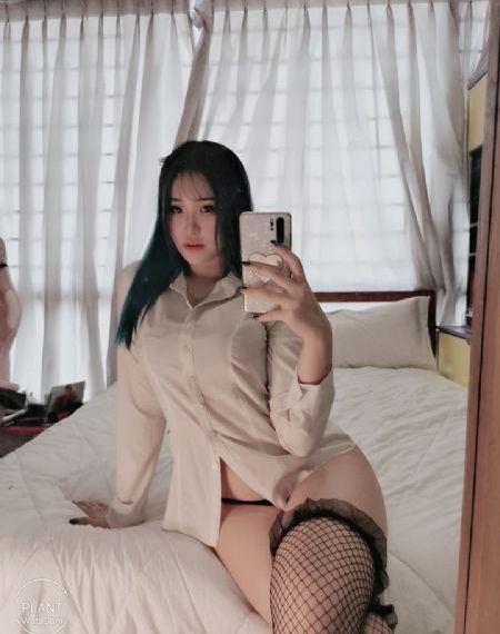 兔子先生第六季 在线观看
