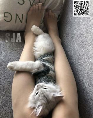 爸爸的女儿