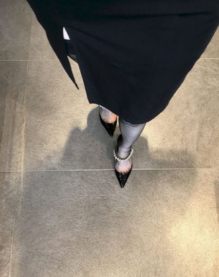 追鱼