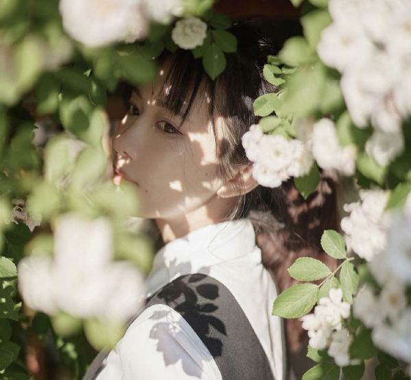 丁香花免费完整高清观看