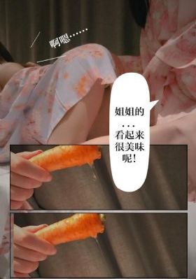 北方有佳人电视剧全集免费观看